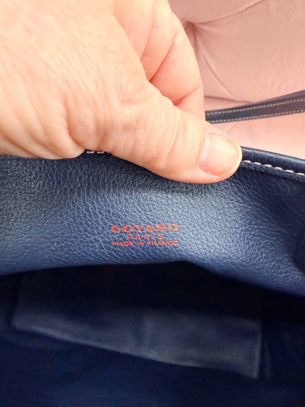 Goyard Mini Anjou Tote Bag - Picture 5 of 14